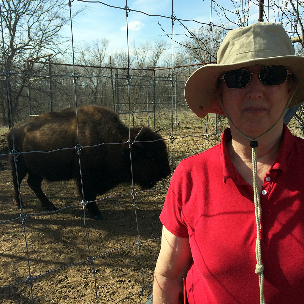 Friends member Jean Pirmann standing in front of a bison near the bison range fence at the Fort Worth Nature Center