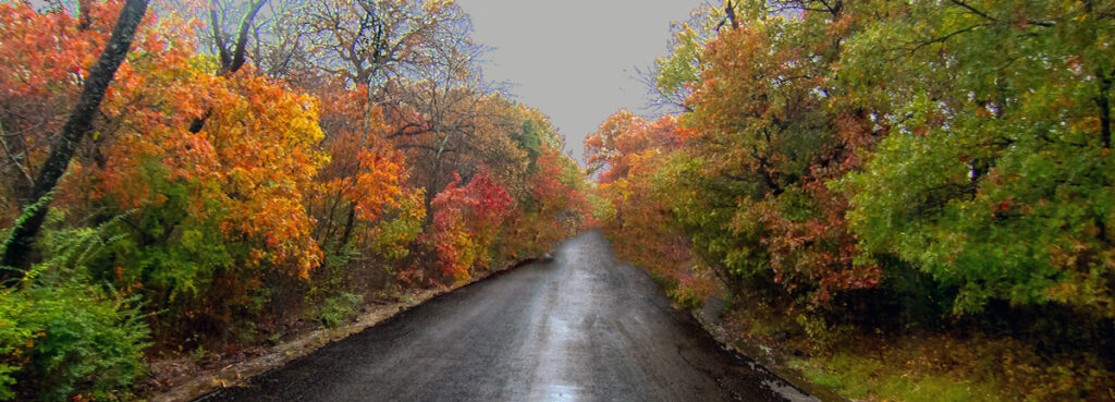 Red, yellow, and orange trees along a wet road during fall at the Fort Worth Nature Center & Refuge