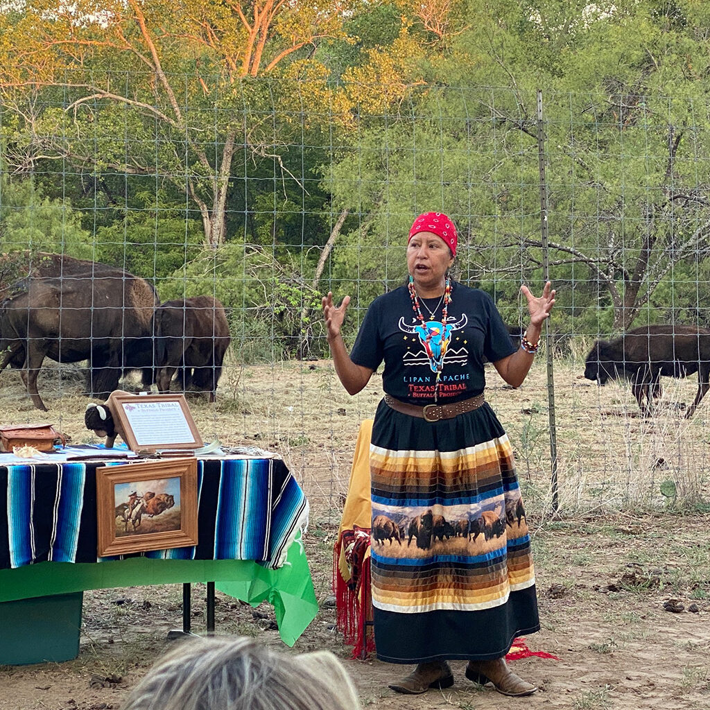 Native American woman speaking in front of a herd of bison