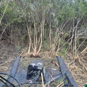 Skid steer clearing Chinese Privet at the Fort Worth Nature Center & Refuge